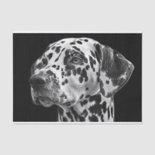 Dalmation Dog Black & White Decoupage Tissue Paper