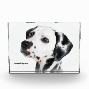 Dalmation Dog. Photo Block