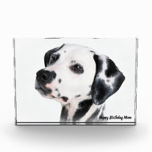 Dalmation Dog. Photo Block