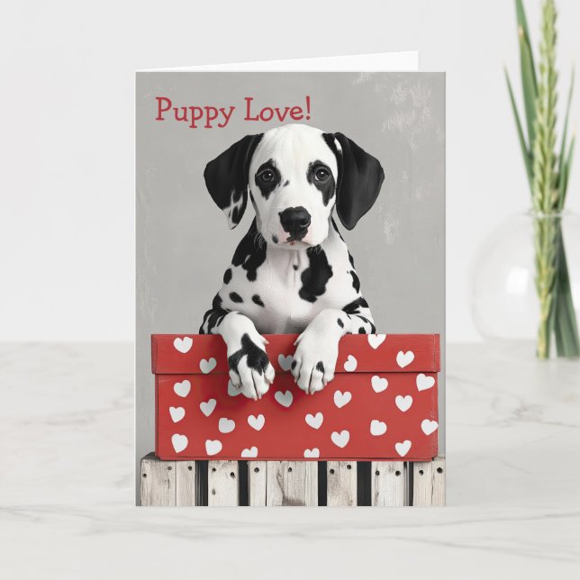 Dalmation dog Valentine Card (Front)