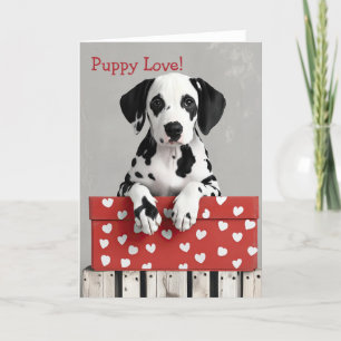 Dalmation dog Valentine Card