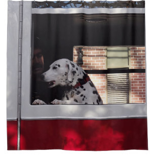 Dalmation In Fire Truck Shower Curtain