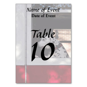 Dalmation In Fire Truck Table Number