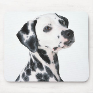 Dalmation Mouse Mat