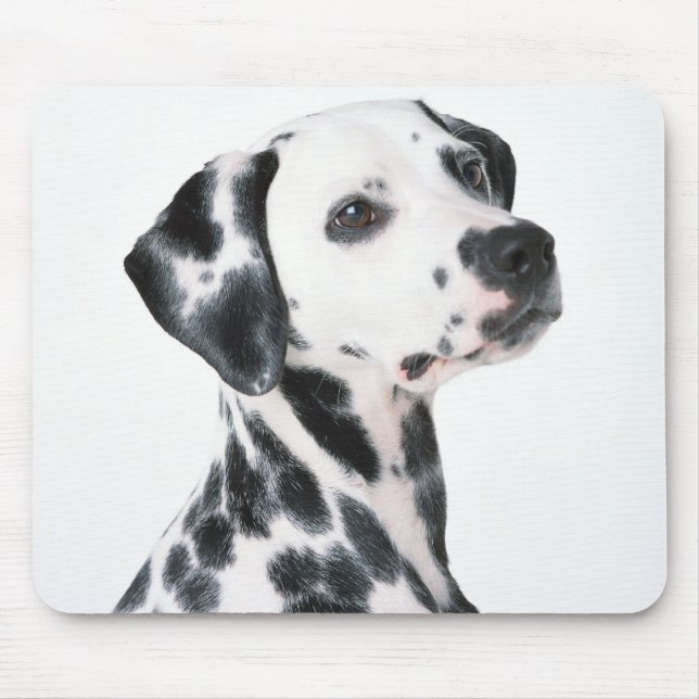 Dalmation Mouse Mat (Front)
