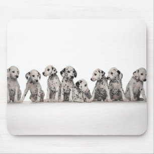 dalmation mouse pad