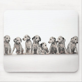 dalmation mouse pad