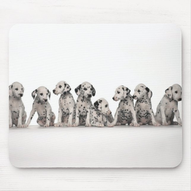 dalmation mouse pad (Front)