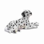 Dalmation Photo Stand-Up Cut-Out Standing Photo Sculpture<br><div class="desc">The best dang dalmatian cut out there is. (Not Really but worth your buck)</div>
