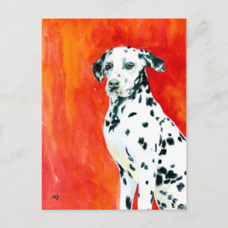 Dalmation Postcard