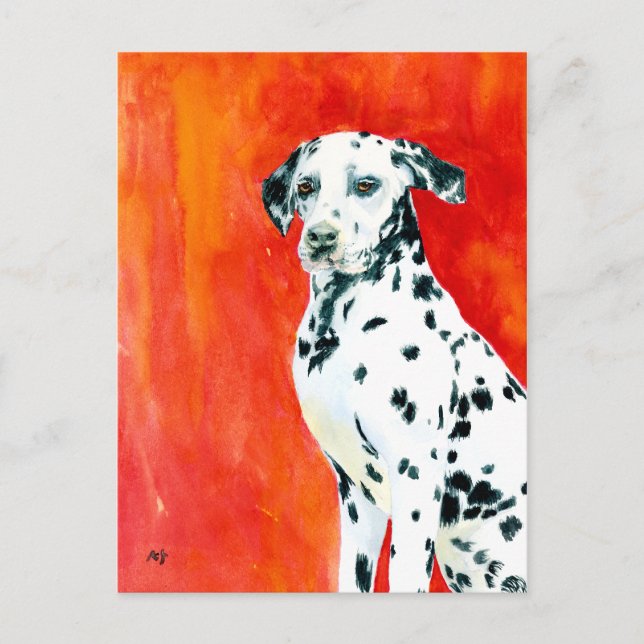 Dalmation Postcard (Front)