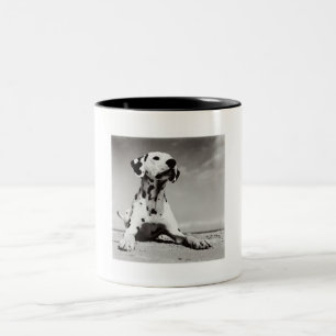 Dalmation Puppy Two-Tone Coffee Mug
