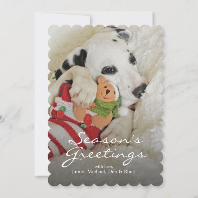 Dalmation puppy with Christmas Stocking Holiday Card (Front)