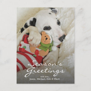 Dalmation puppy with Christmas Stocking Holiday Postcard
