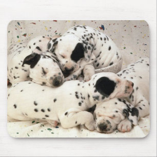 Dalmations Mouse Mat