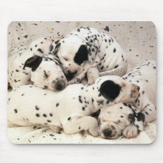 Dalmations Mouse Mat