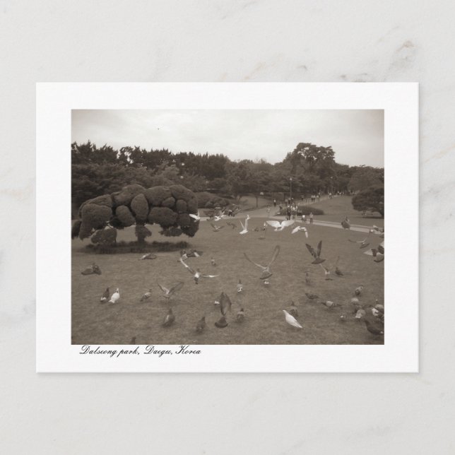 Dalseong Park, Daegu, South Korea postcard (Front)