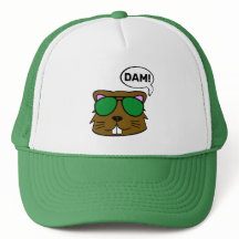 Dam Beaver
