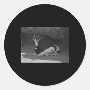 Dama Gazelle Valencia Black And White Sticker