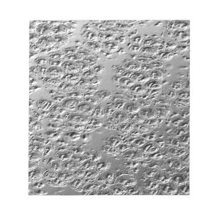 Damaged silver metal notepad