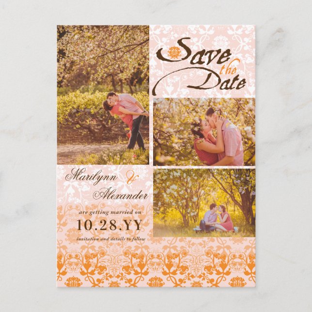 Damask Lace Sorbet Save The Date Photo Postcard (Front)