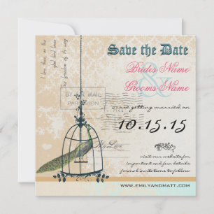 Damask Peacock Bird Cage Wedding Save the Date