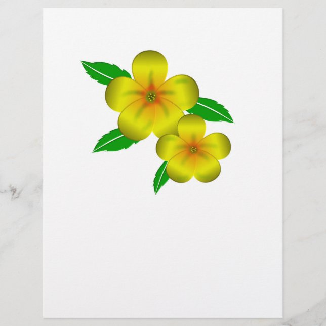 Damiana yellow flowers flyer (Front)