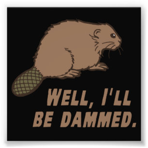 Dammed Beaver Photo Print