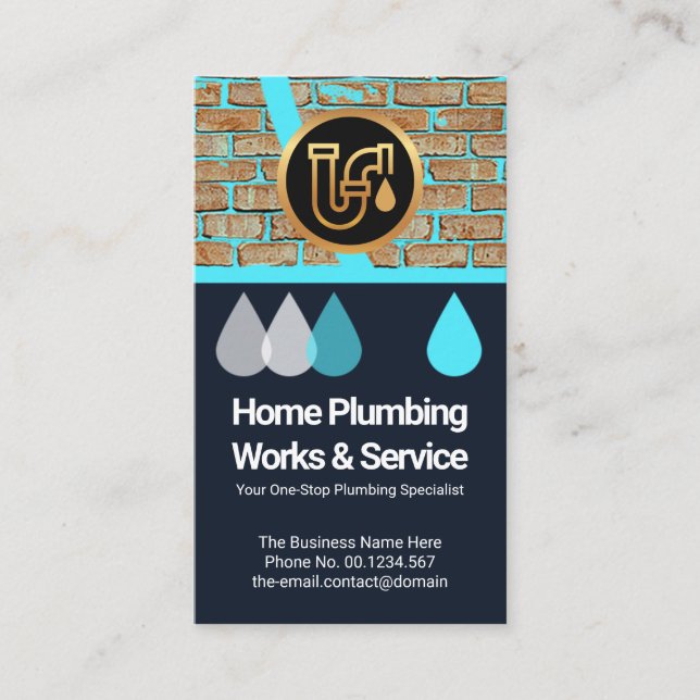 Damp Walls Water Seepage Home Plumbing Service Business Card (Front)