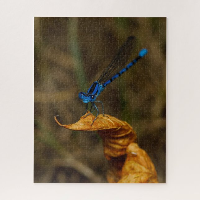 Damsel Fly Jigsaw Puzzle  (Vertical)