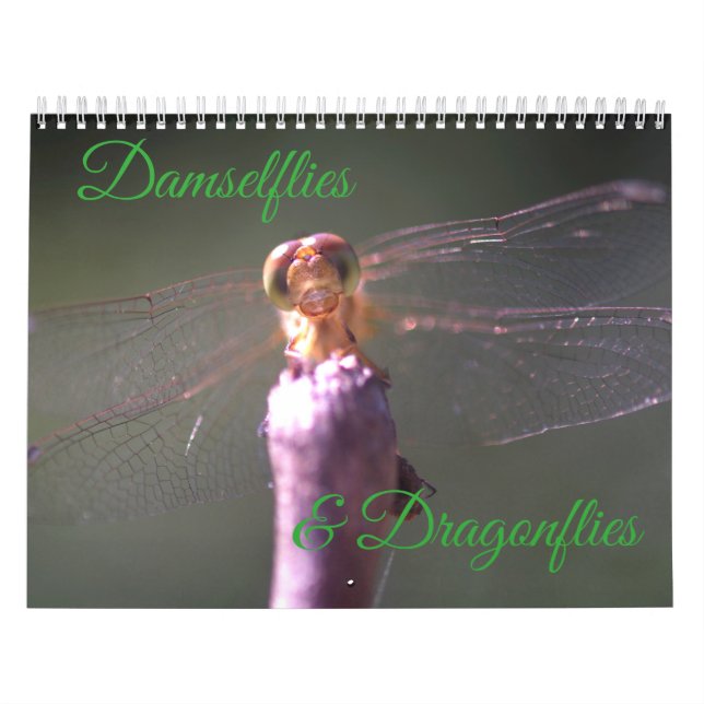 Damselflies and Dragonflies Calendar (Cover)