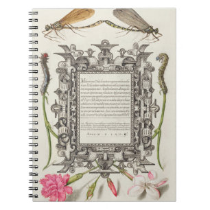 Damselflies, Caterpillars, Carnation, and Poet's Notebook