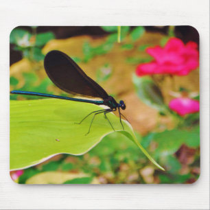 Damselfly and Rose Mouse Mat