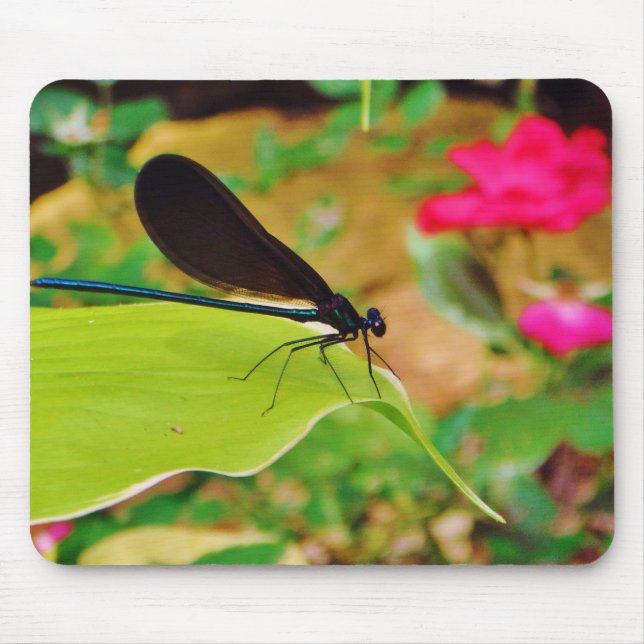 Damselfly and Rose Mouse Mat (Front)