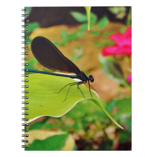 Damselfly and Rose Notebook (Front)