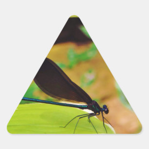 Damselfly and Rose Triangle Sticker