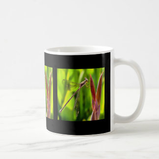 Damselfly Balanced On A Flower Head Coffee Mug