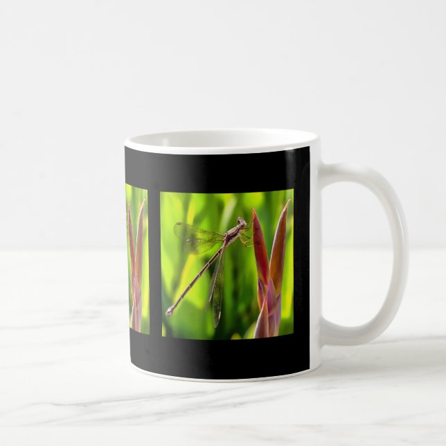 Damselfly Balanced On A Flower Head Coffee Mug (Right)