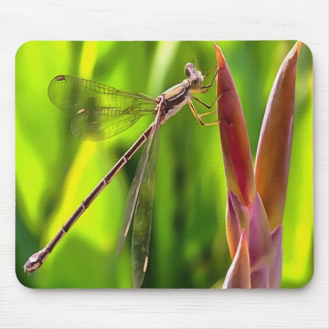 Damselfly Balanced On A Flower Head Mouse Mat (Front)