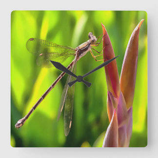 Damselfly Balanced On A Flower Head Square Wall Clock