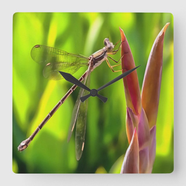 Damselfly Balanced On A Flower Head Square Wall Clock (Front)