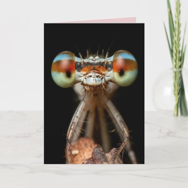 DAMSELFLY BIRTHDAY CARD (Front)