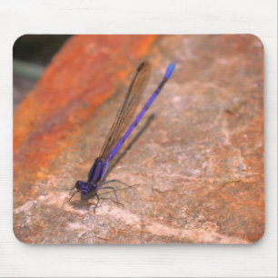 Damselfly Dragonfly Nature  Mouse Mat