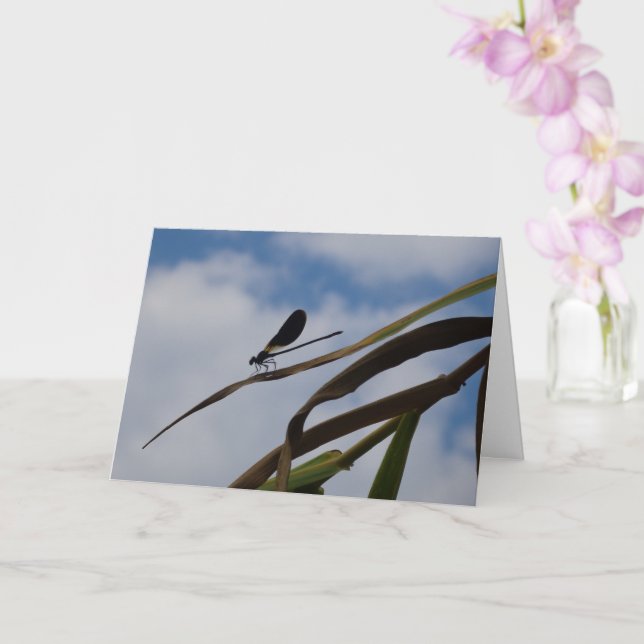 Damselfly in Blue Sky  Card (Orchid)