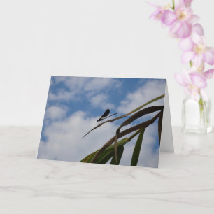 Damselfly in Blue Sky  Card