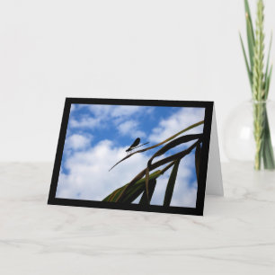 Damselfly in Blue Sky Card