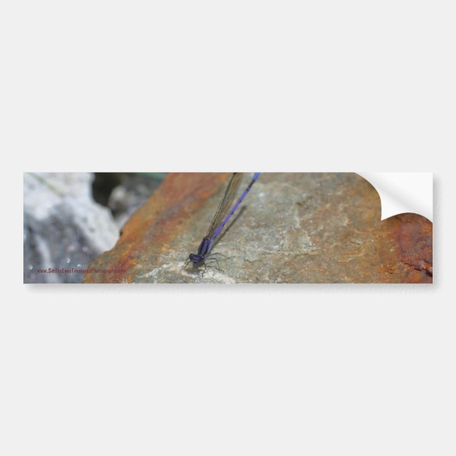 Damselfly Nature Bumper Sticker Car Art (Front)