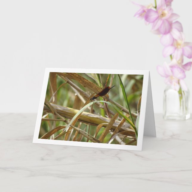 Damselfly Portrait Card (Orchid)