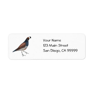 Dan Quail
