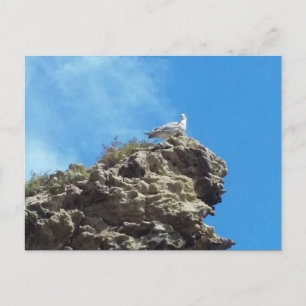 DANA POINT #3 POSTCARD